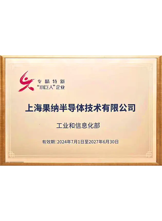 专精特新小巨人企业